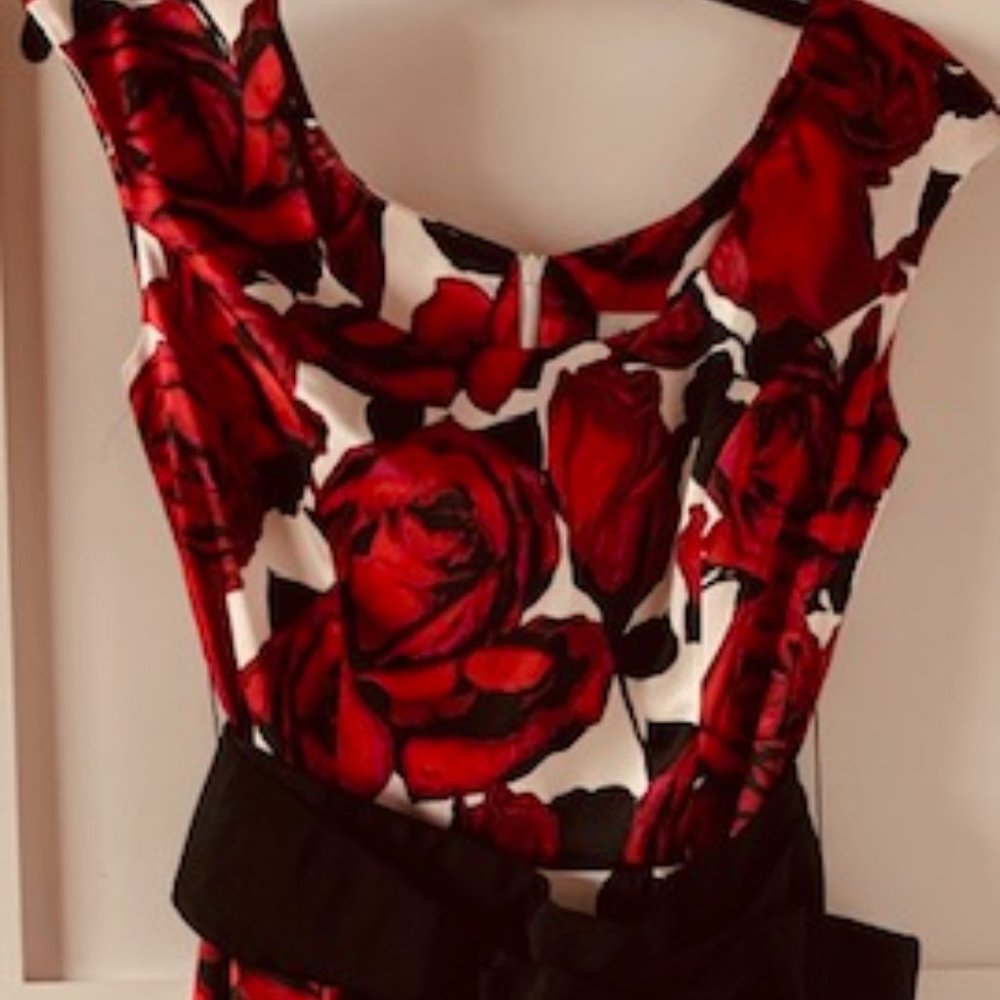 Joseph Ribkoff  Dress - Size 4 - Never Worn